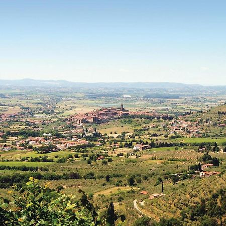 Il Marinocchio Di Malatesti I Arezzo Esterno foto