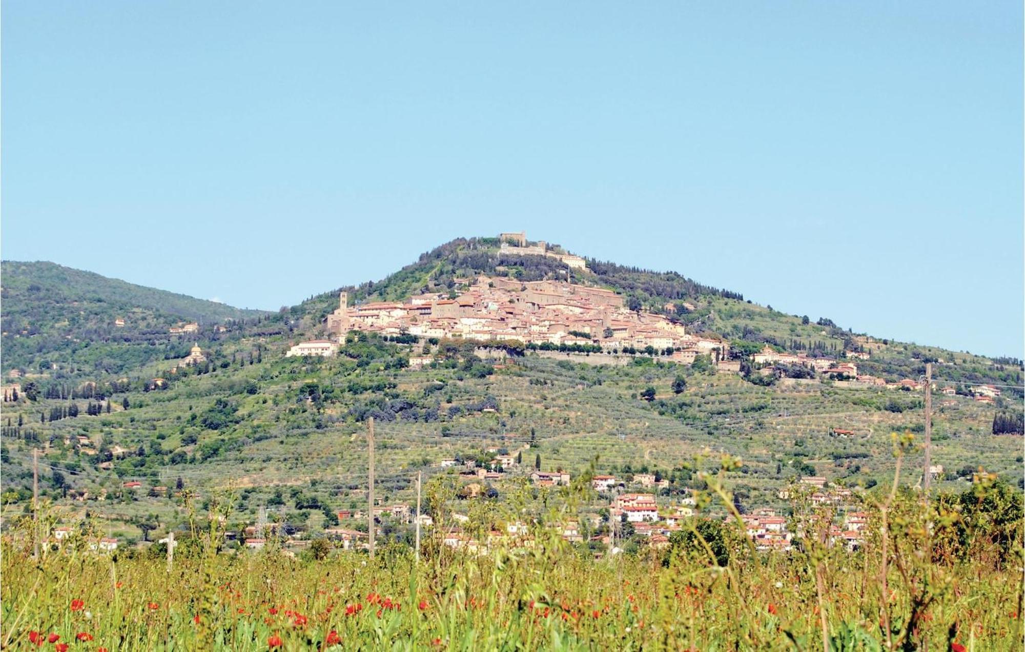 Il Marinocchio Di Malatesti I Arezzo Esterno foto